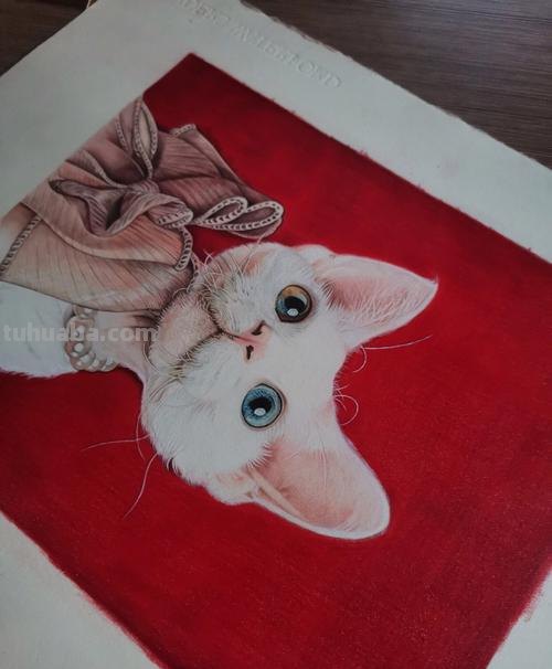 简单彩铅画墙上猫咪怎么画 小馋猫简单铅笔画？