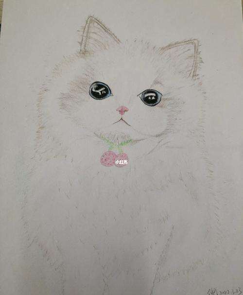 简单彩铅画墙上猫咪怎么画 小馋猫简单铅笔画？