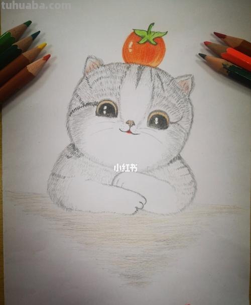 简单彩铅画墙上猫咪怎么画 小馋猫简单铅笔画？