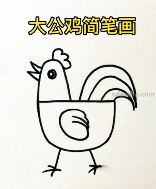 公鸡怎么画简笔画图片 大公鸡画法教程。如何画漂亮的大公鸡？方法步骤？