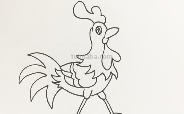 公鸡怎么画简笔画图片 大公鸡画法教程。如何画漂亮的大公鸡？方法步骤？