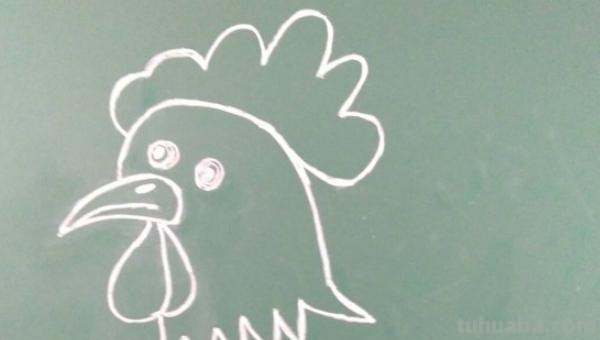 公鸡怎么画简笔画图片 大公鸡画法教程。如何画漂亮的大公鸡？方法步骤？