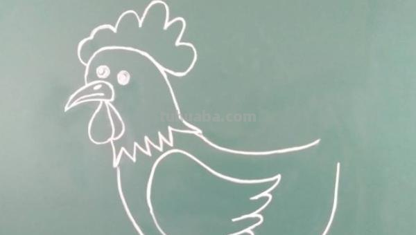 公鸡怎么画简笔画图片 大公鸡画法教程。如何画漂亮的大公鸡？方法步骤？
