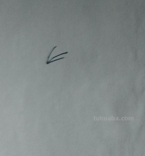 公鸡怎么画简笔画图片 大公鸡画法教程。如何画漂亮的大公鸡？方法步骤？