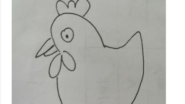公鸡怎么画简笔画图片 大公鸡画法教程。如何画漂亮的大公鸡？方法步骤？