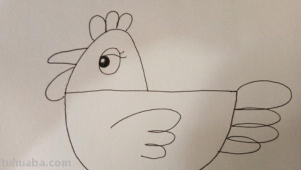 公鸡怎么画简笔画图片 大公鸡画法教程。如何画漂亮的大公鸡？方法步骤？