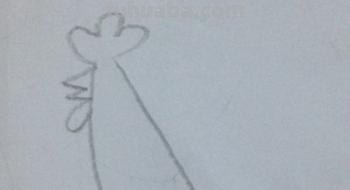 公鸡怎么画简笔画图片 大公鸡画法教程。如何画漂亮的大公鸡？方法步骤？