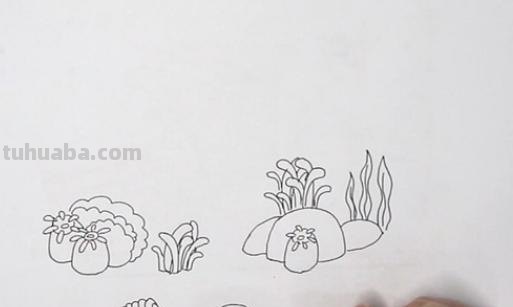 用彩铅画的珊瑚怎么画 单色系彩铅漫画简单？