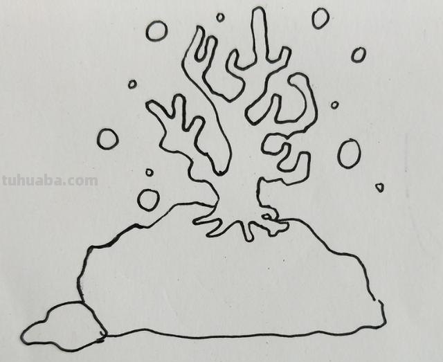 用彩铅画的珊瑚怎么画 单色系彩铅漫画简单？