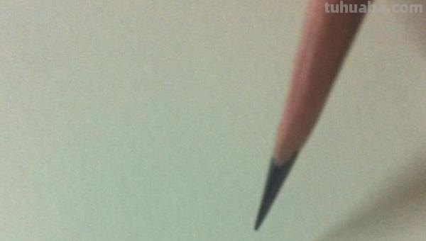 彩铅画怎么画立体小鸟教程 怎么画小鸟步骤教学？
