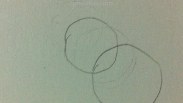 彩铅画怎么画立体小鸟教程 怎么画小鸟步骤教学？