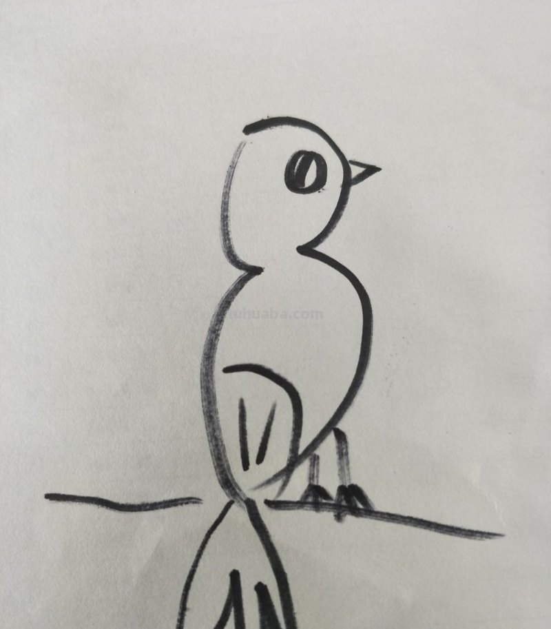 彩铅画怎么画立体小鸟教程 怎么画小鸟步骤教学？