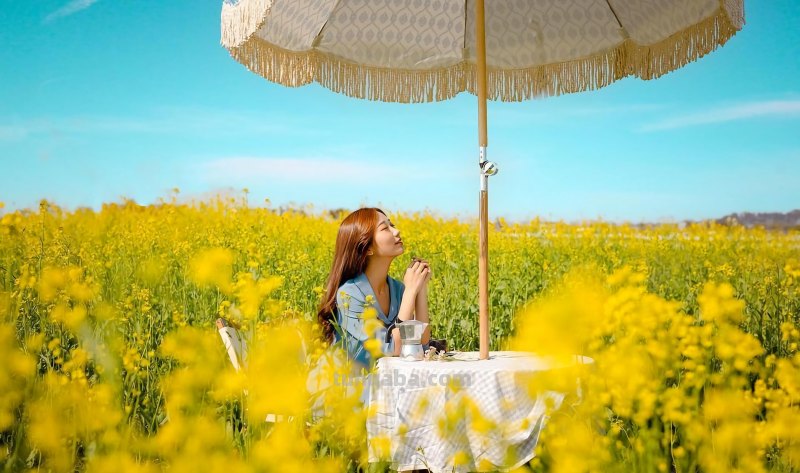 一个人拍照也必须美起来，5个摄影技巧简约自然，拍出美照并不难