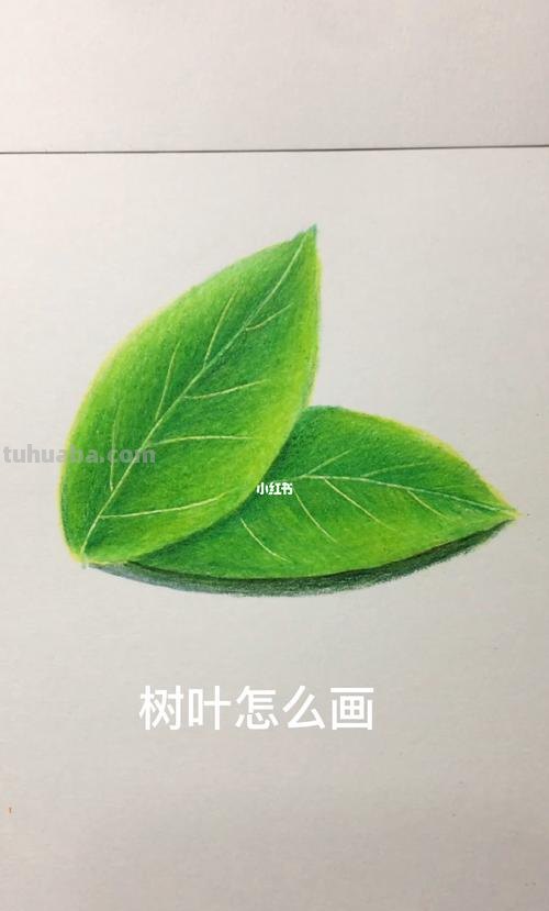树叶怎么画用彩铅画的 很茂密的树怎么用彩铅画？