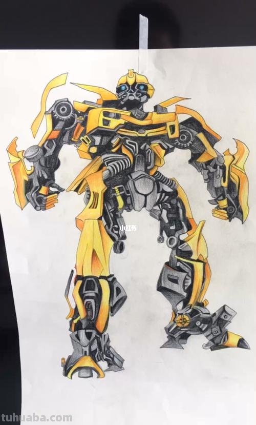 彩铅画大黄蜂怎么画 0基础彩铅画？