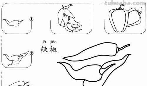 辣椒怎么画简笔画图片 如何画大葱西红柿辣椒？