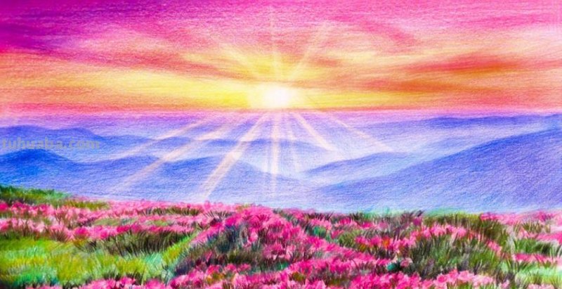 彩铅风景画怎么画视频 怎么用彩铅画超简单的花海？