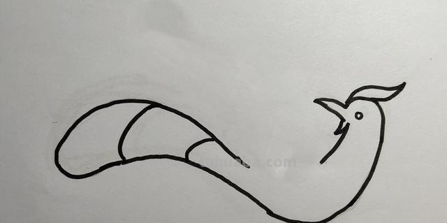 凤凰鸟速写 怎样画凤凰的简笔画？