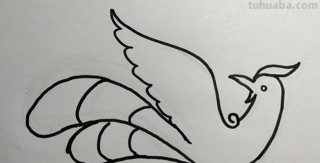 凤凰鸟速写 怎样画凤凰的简笔画？
