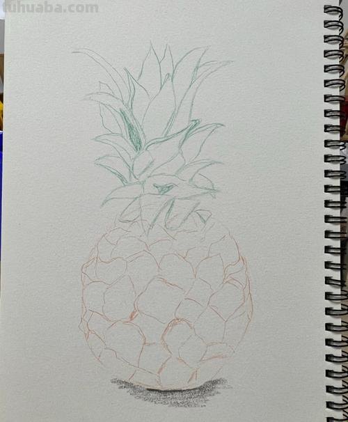 用彩铅画立体菠萝怎么画 怎么用彩铅画立体的菠萝？