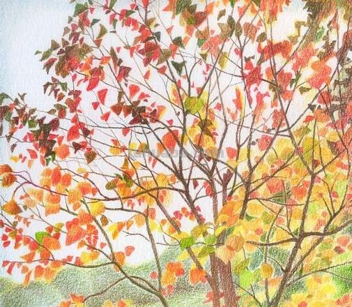 怎么画彩铅风景画教程 关于立秋的简单彩铅风景画？