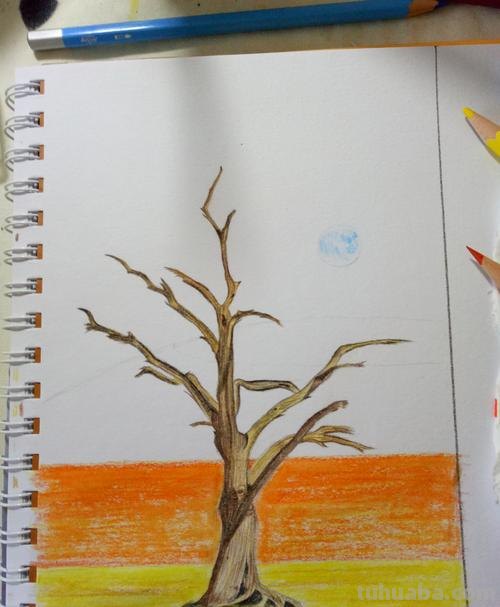 新手怎么画彩铅画水果树 如何用彩铅画树？