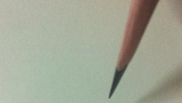 风景画彩铅小鸟怎么画 怎么画小鸟步骤教学？