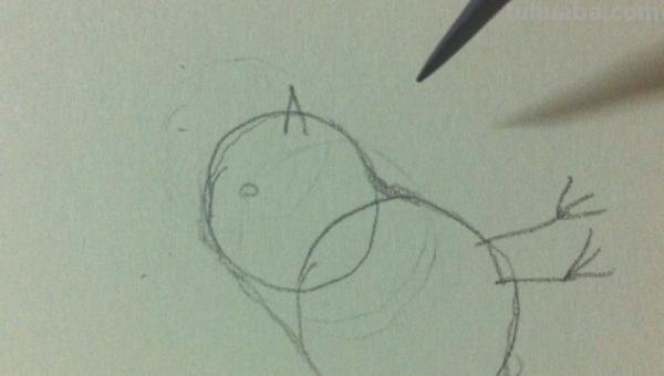 风景画彩铅小鸟怎么画 怎么画小鸟步骤教学？