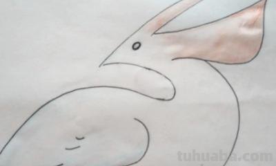 风景画彩铅小鸟怎么画 怎么画小鸟步骤教学？