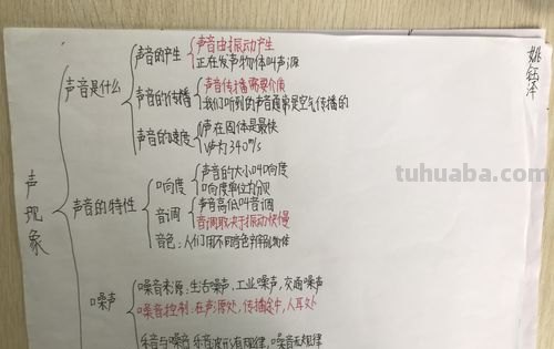 思维导图的叫声怎么写 思维导图内容怎么写？