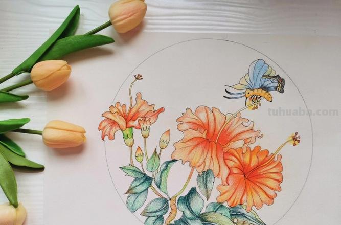 彩铅画树叶和花朵怎么画 花的彩铅画？