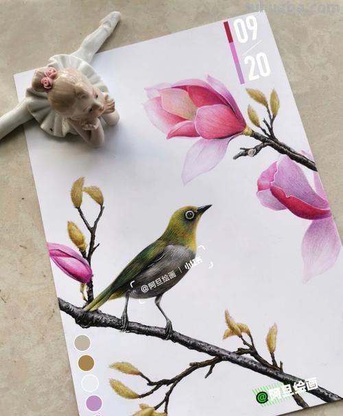 怎么样画彩铅画花鸟 鸟语花香彩铅绘画步骤？