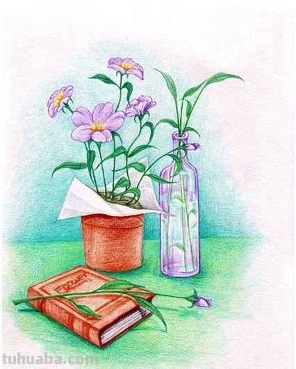 怎么样画彩铅画花鸟 鸟语花香彩铅绘画步骤？