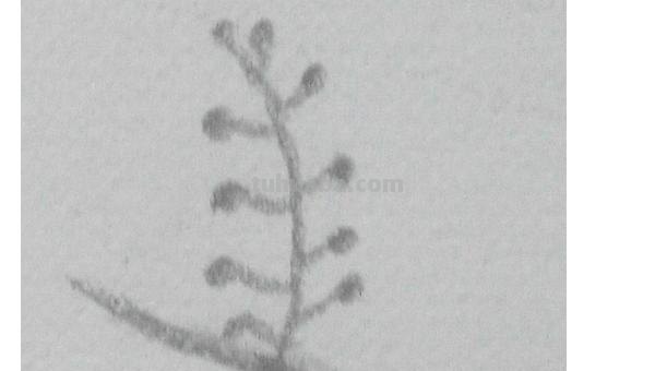 彩铅画明朗的傍晚怎么画 日落，彩色铅笔绘画，详细步骤教程？