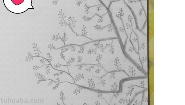 彩铅画明朗的傍晚怎么画 日落，彩色铅笔绘画，详细步骤教程？