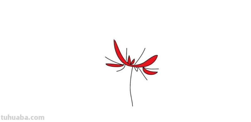 彼岸花怎么画简笔画 花瓣的简笔画法？