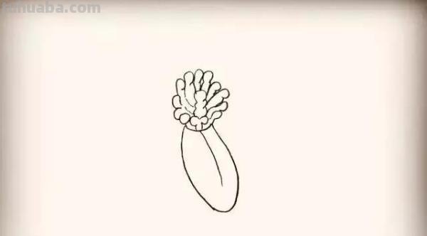 彼岸花怎么画简笔画 花瓣的简笔画法？