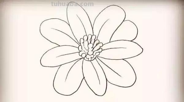 彼岸花怎么画简笔画 花瓣的简笔画法？