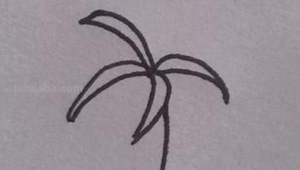 彼岸花怎么画简笔画 花瓣的简笔画法？