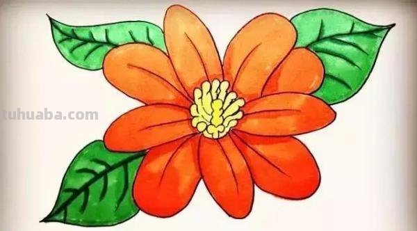 彼岸花怎么画简笔画 花瓣的简笔画法？