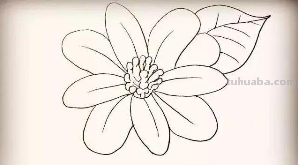 彼岸花怎么画简笔画 花瓣的简笔画法？