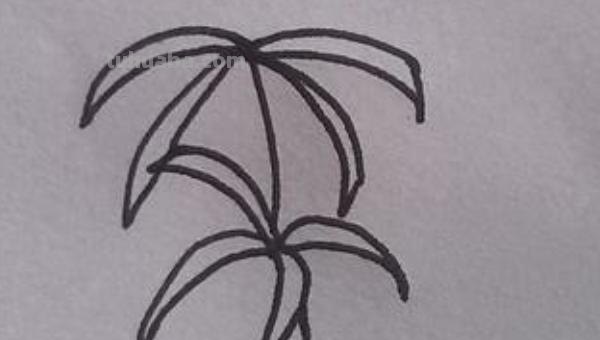 彼岸花怎么画简笔画 花瓣的简笔画法？