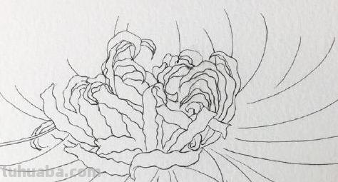 彼岸花怎么画简笔画 花瓣的简笔画法？