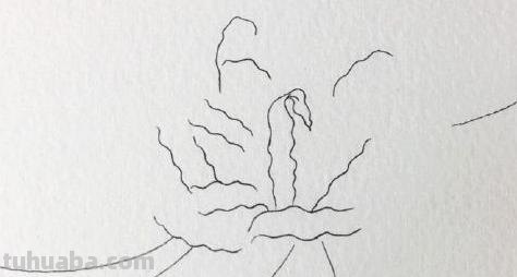 彼岸花怎么画简笔画 花瓣的简笔画法？