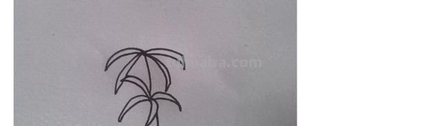 彼岸花怎么画简笔画 花瓣的简笔画法？