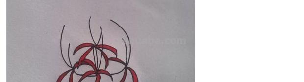 彼岸花怎么画简笔画 花瓣的简笔画法？