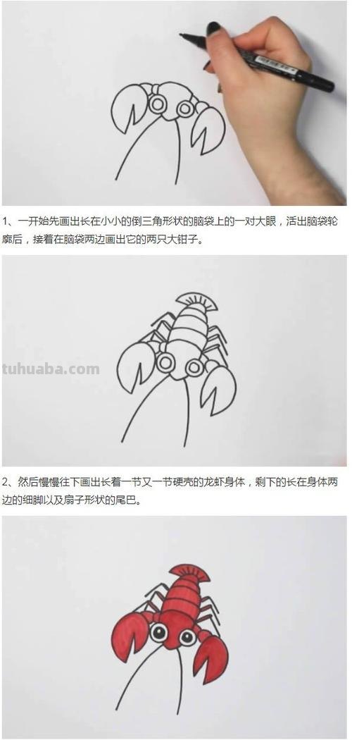 龙虾怎么画简笔画图画 铅笔画虾的步骤和方法？