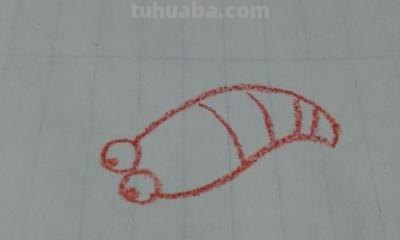 龙虾怎么画简笔画图画 铅笔画虾的步骤和方法？