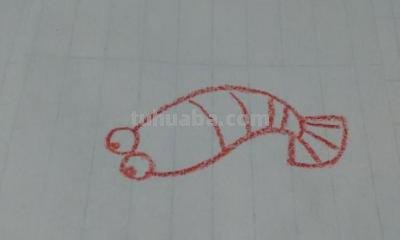 龙虾怎么画简笔画图画 铅笔画虾的步骤和方法？