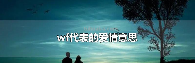 wf代表的爱情意思